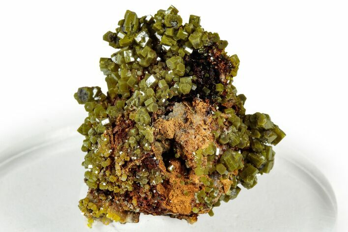 Lustrous Forest-Green Pyromorphite Crystal Cluster - China #330058